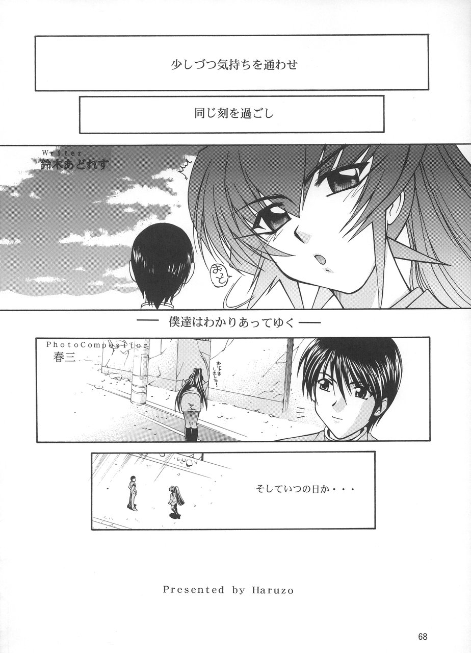 (C68) [GOLD RUSH (鈴木あどれす)] Stairway III ～マブラヴ総集編～ (マブラヴ)