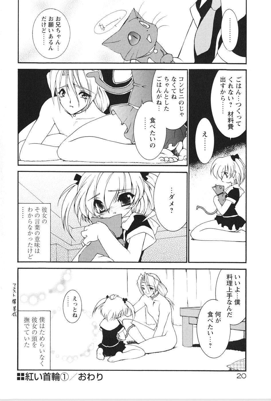 [龍炎狼牙] 紅い首輪と代価のカタチ