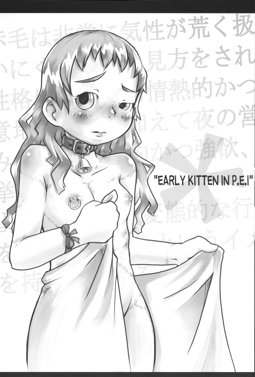 (C70) [裏方本舗 (SINK)] ウラバンビ Vol.31 -Early Kitten in P.E.I- (赤毛のアン)