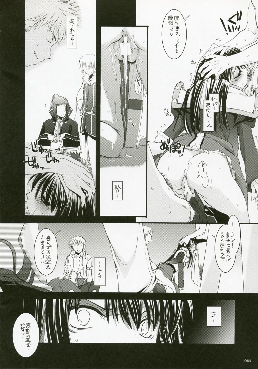(C72) [Digital Lover (なかじまゆか)] DL-RO総集編04 (ラグナロクオンライン)
