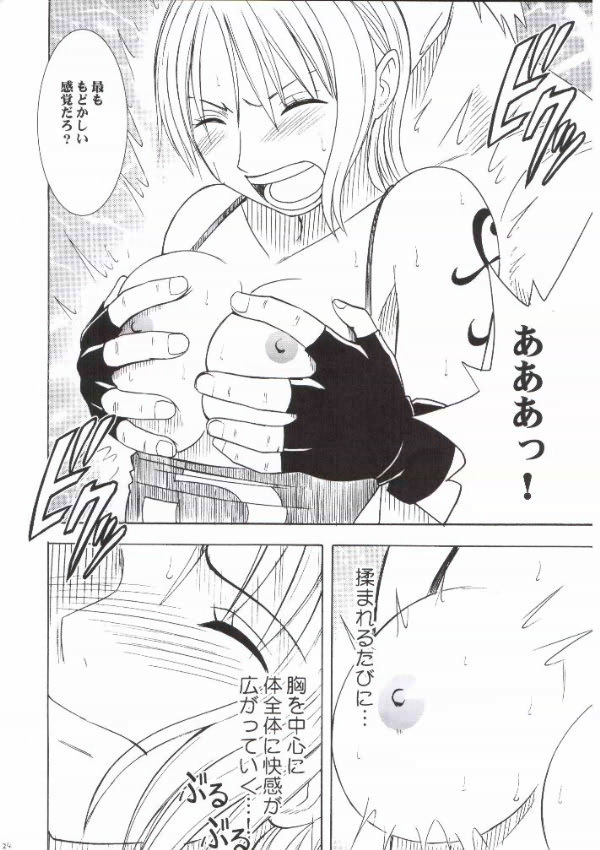 [クリムゾンコミックス (カーマイン)] ナミ極 (ワンピース)
