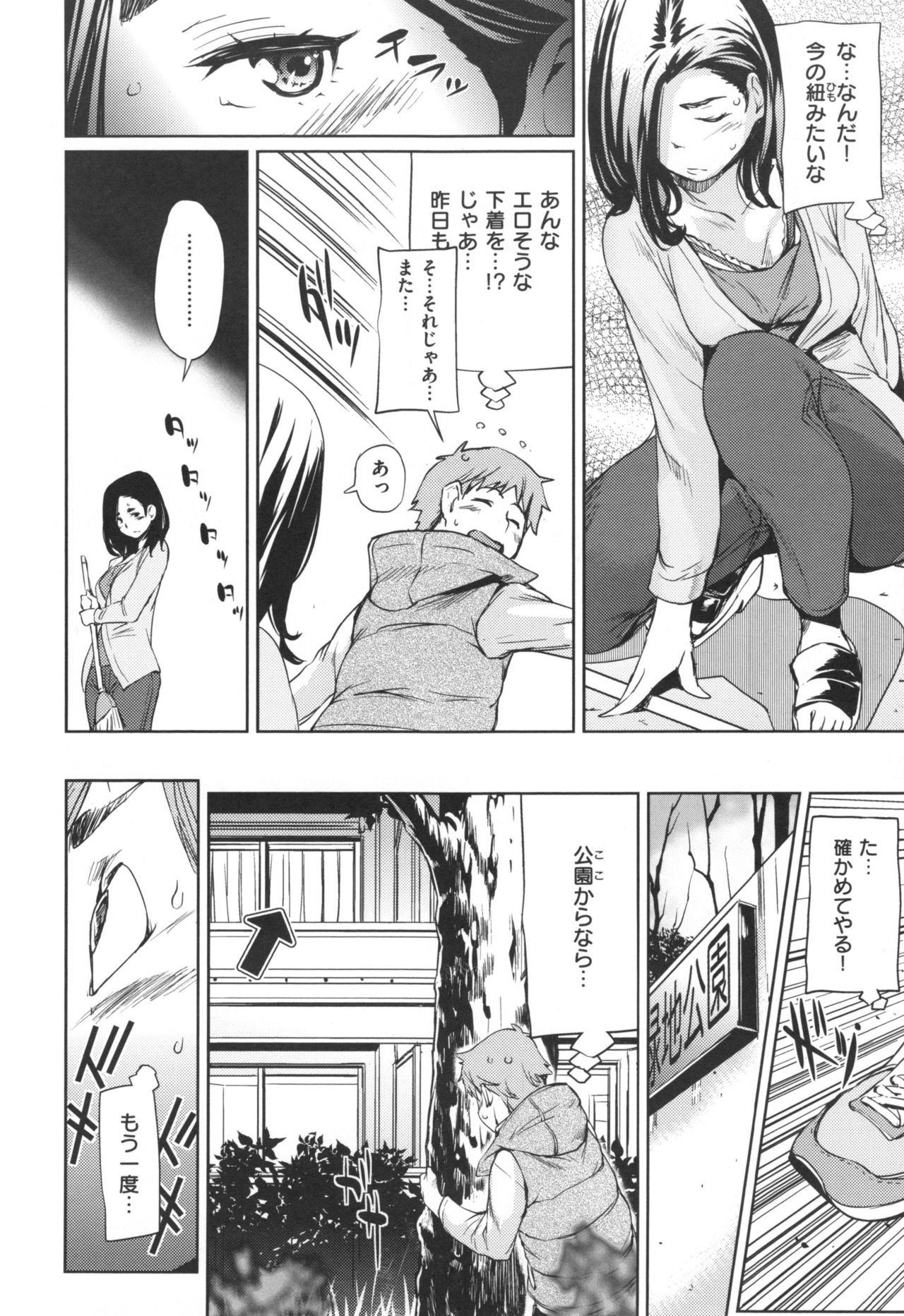 [シオマネキ] あらわ たわわ + とらのあなリーフレット