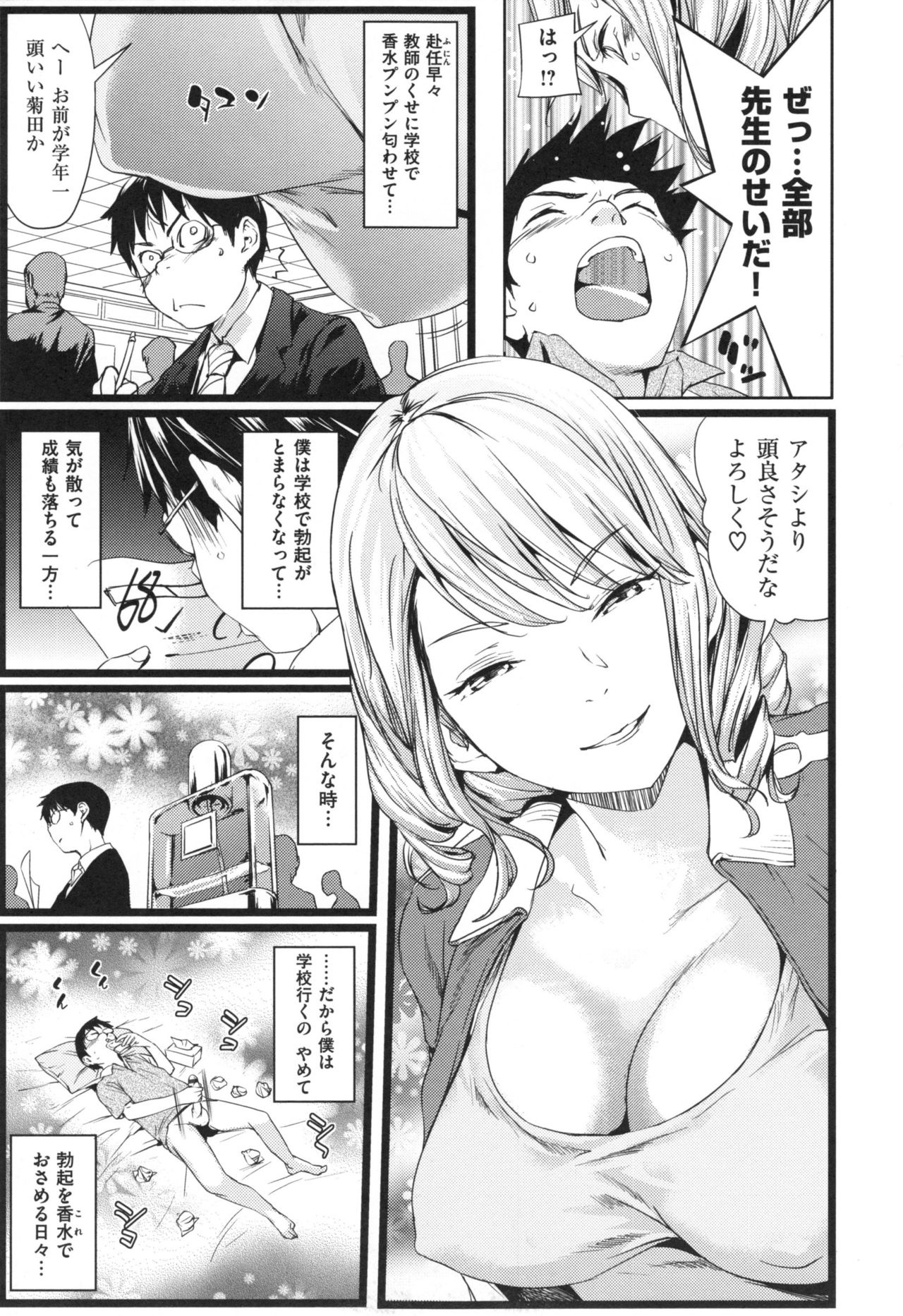 [シオマネキ] あらわ たわわ + とらのあなリーフレット