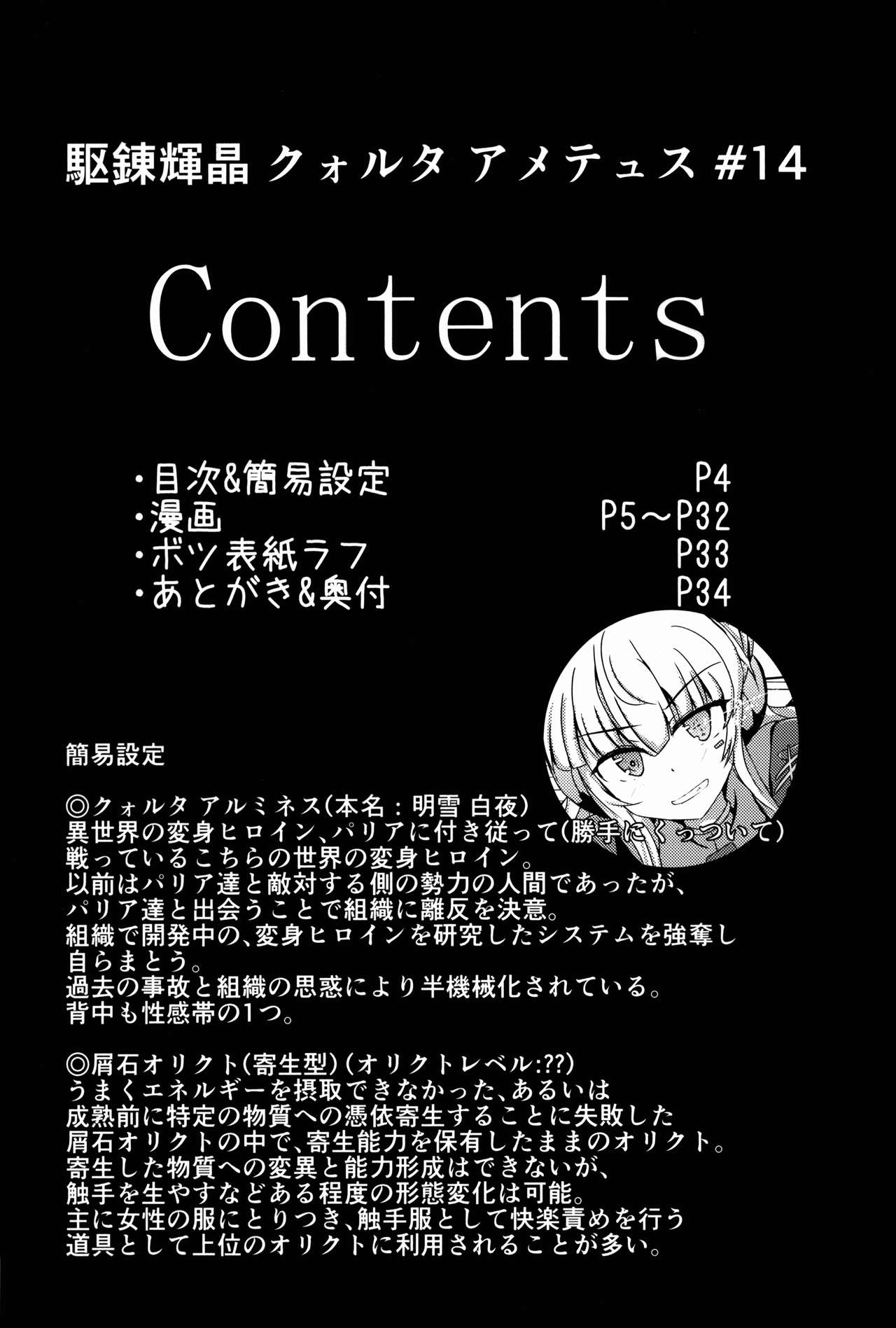 (C91) [下り坂ガードレール (しらそ)] 駆錬輝晶 クォルタ アメテュス #14