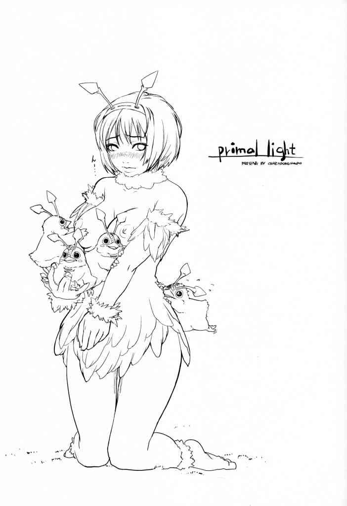 (C62) [ちゃかぽこ本舗 (有坂司恩, ゆきみ)] Primal Light (ファンタシースターオンライン)