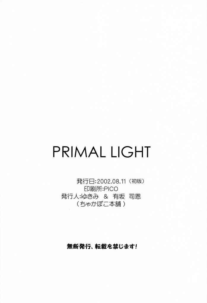 (C62) [ちゃかぽこ本舗 (有坂司恩, ゆきみ)] Primal Light (ファンタシースターオンライン)