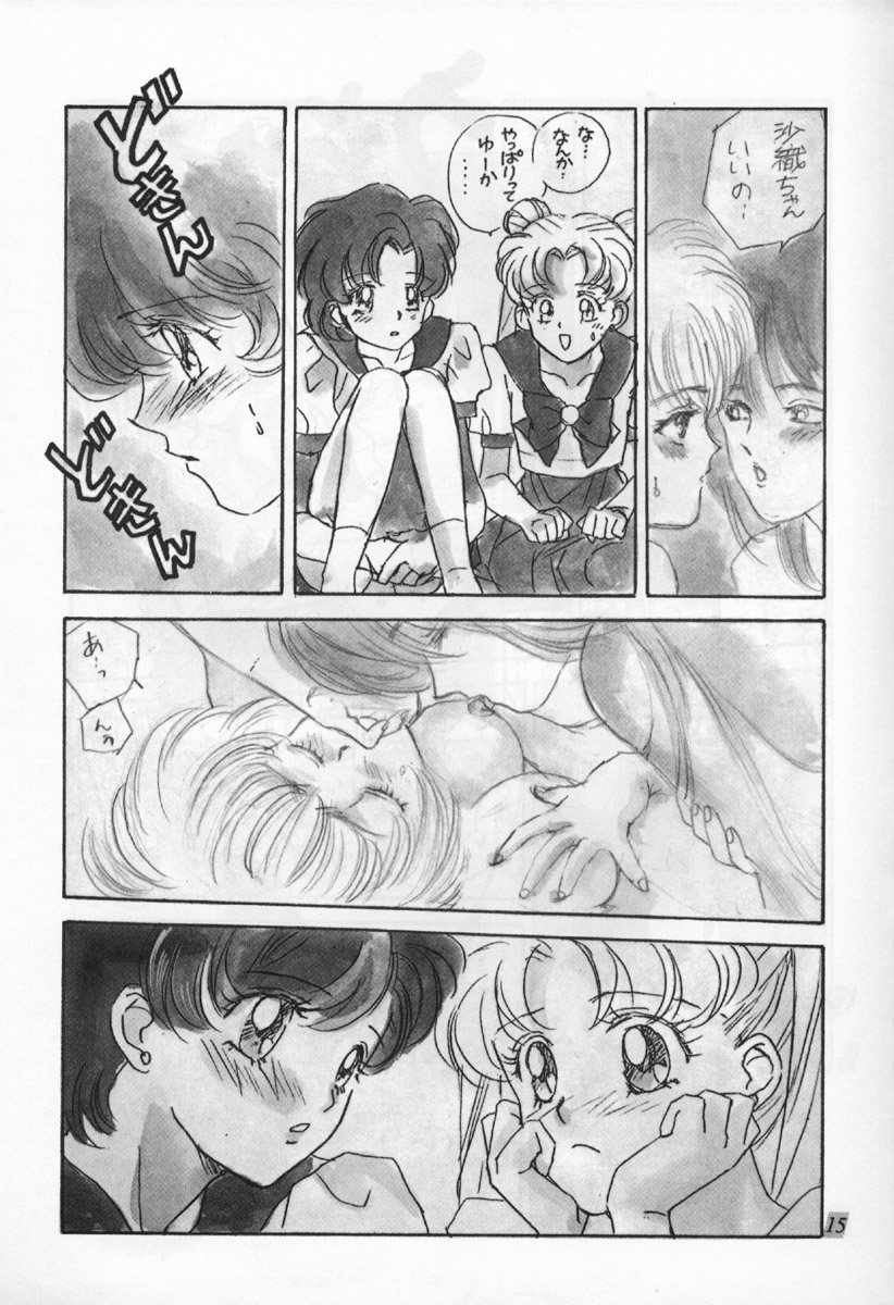 (C42) [PANハウス (モンゴロイドれん、萩原玲子)] mint strawberry (美少女戦士セーラームーン)