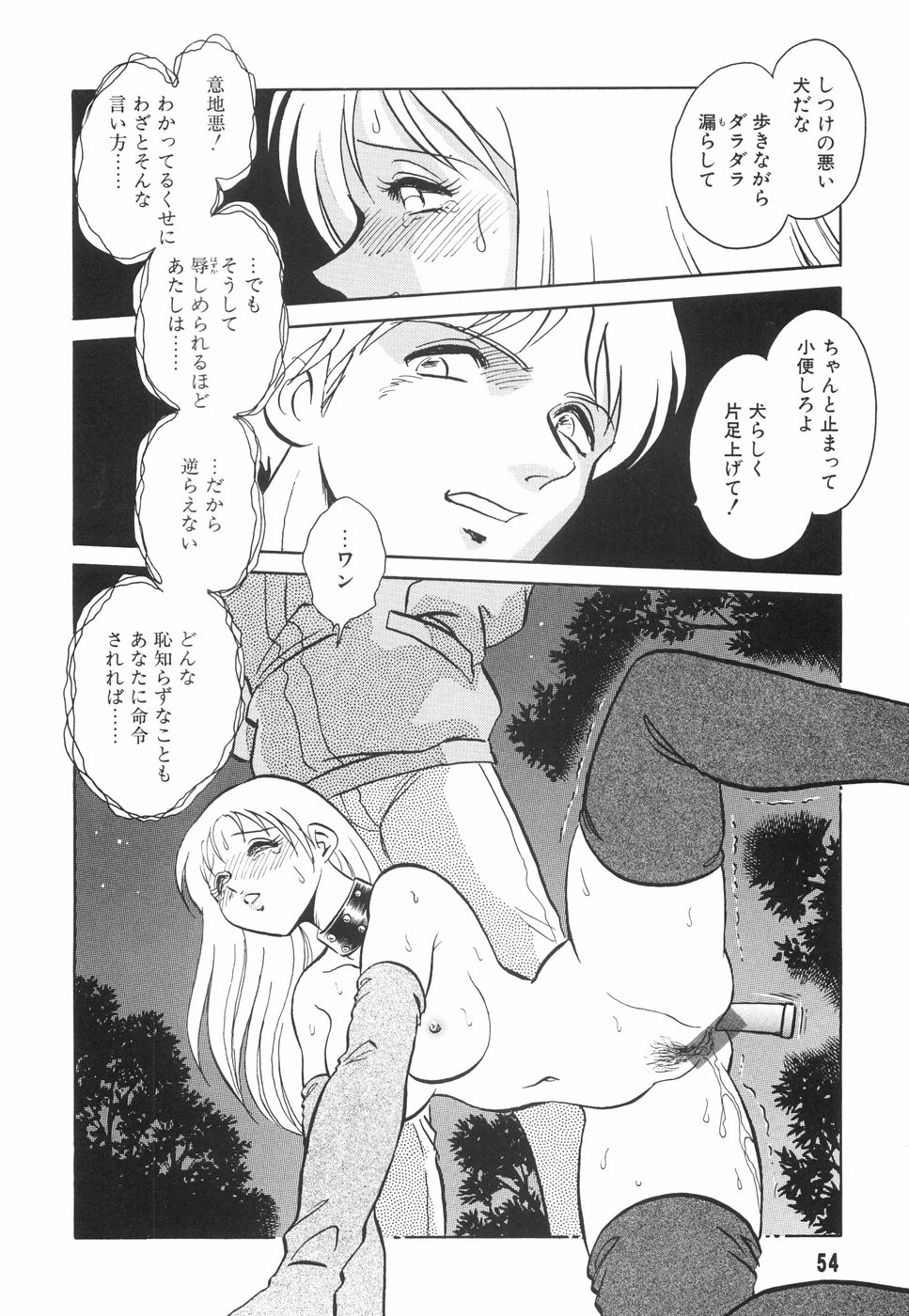 [毛野楊太郎] 辱めの時間