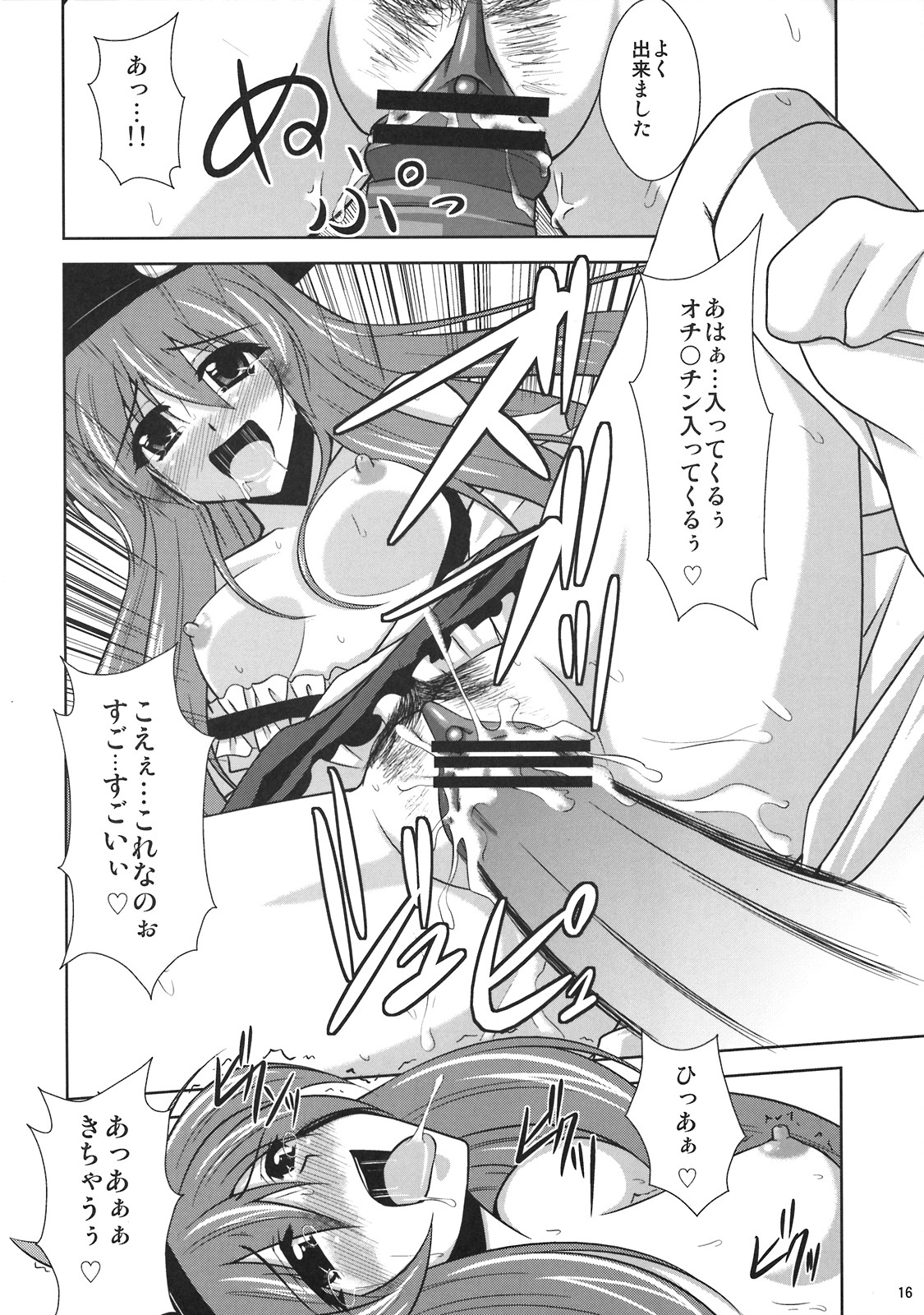 (C74) [何処までも蒼い空に浮かぶ肉。 (肉そうきゅー。)] 妄想有頂天！！ (東方Project)