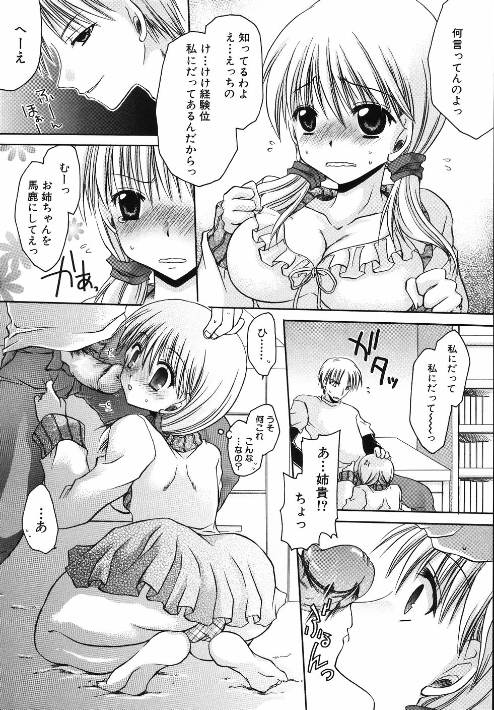 [東雲龍] 卑猥な家族