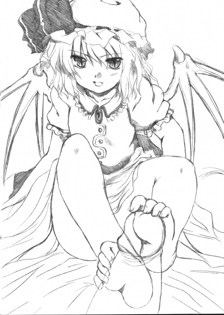 (C68) [夢見ごこち (御影獏)] 夢知蒙昧 (東方Project)