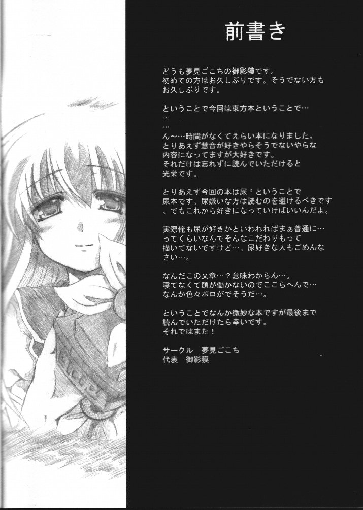 (C68) [夢見ごこち (御影獏)] 夢知蒙昧 (東方Project)