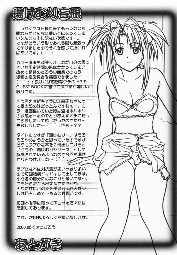 (C59) [ばくはつBRS. (ばくはつごろう)] 湯けむり妄想 (ラブひな)