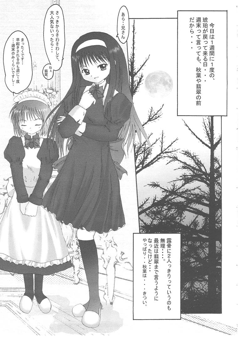 [翡翠亭 (和泉つばす)] 月輪 ～ツキノワ～ (月姫)