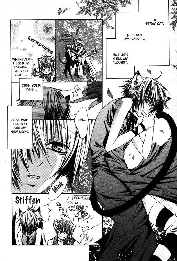 ミミパラダイスvol2ch3