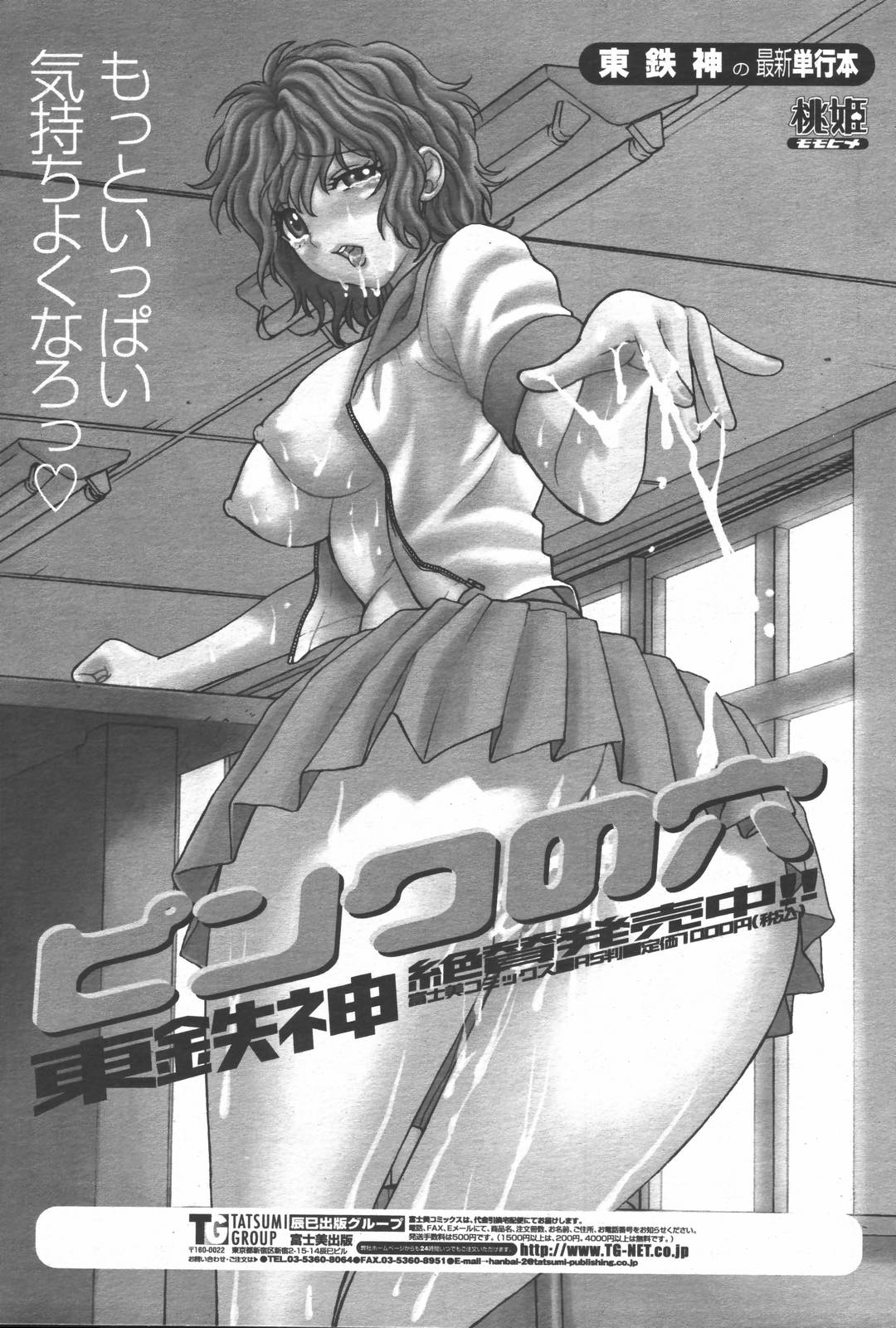 COMIC 桃姫 2006年6月号 Vol.68