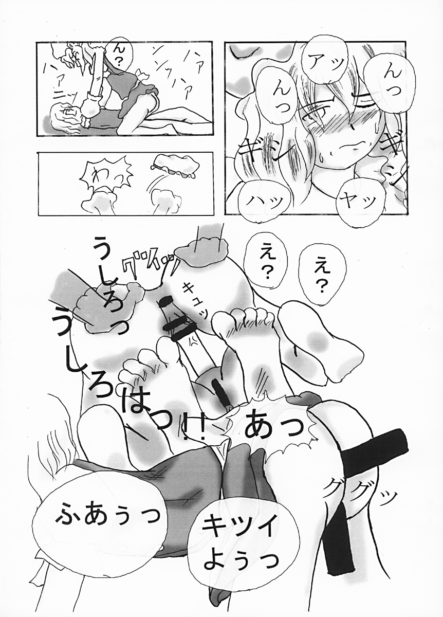 (C67) [モノポール研究所 (ものポーラー)] わたしと私と… (東方Project)