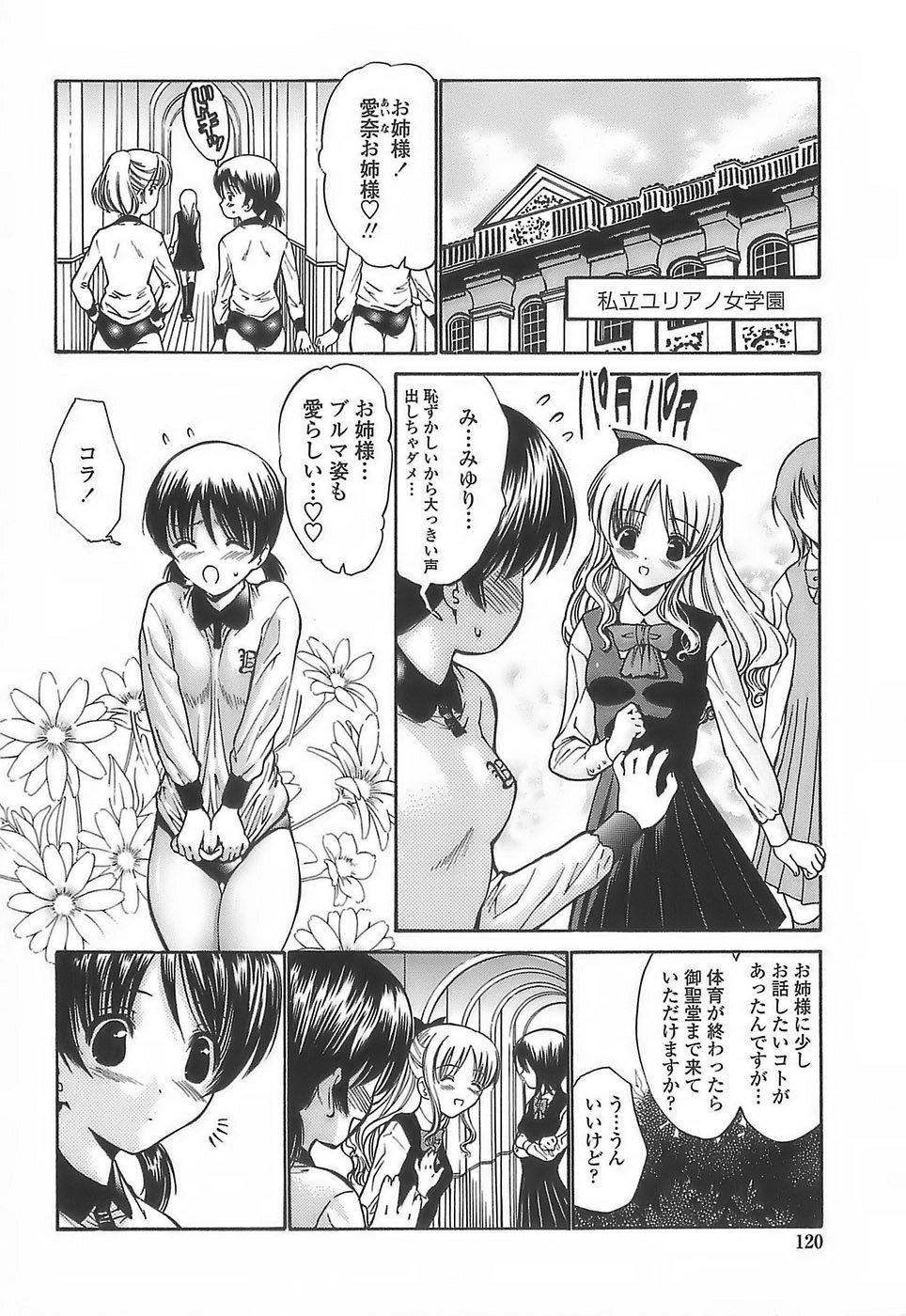 [西川康] あげはのおとめ