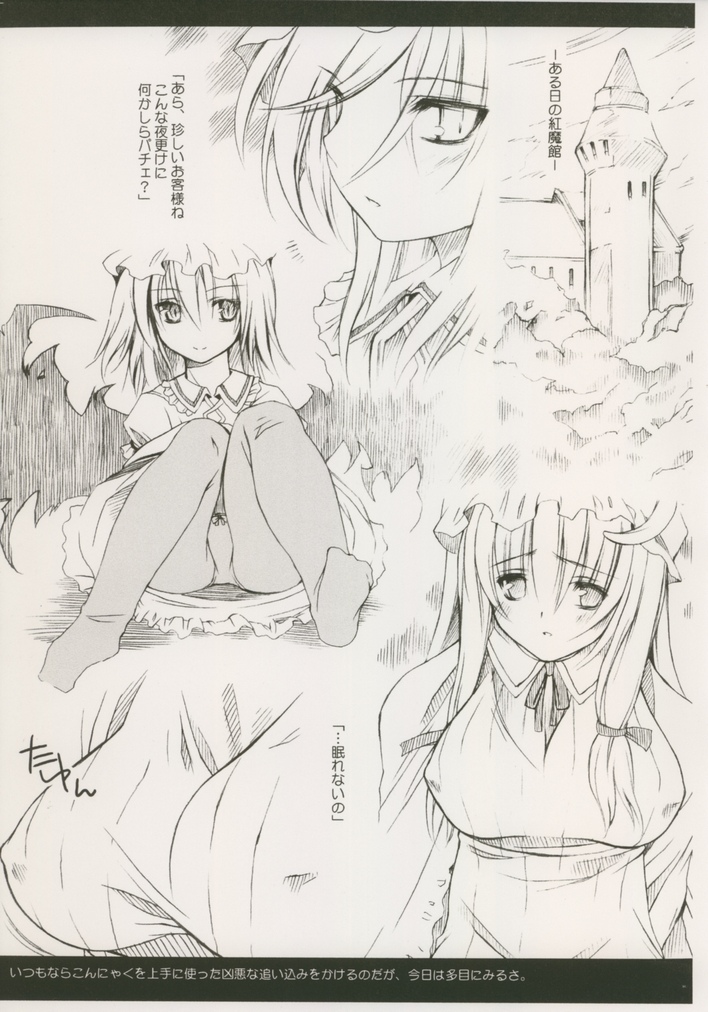 (例大祭2) [ドウガネブイブイ (あぶりだしざくろ)] 姉妹で結婚って法律上OKだよね？ (東方Project)