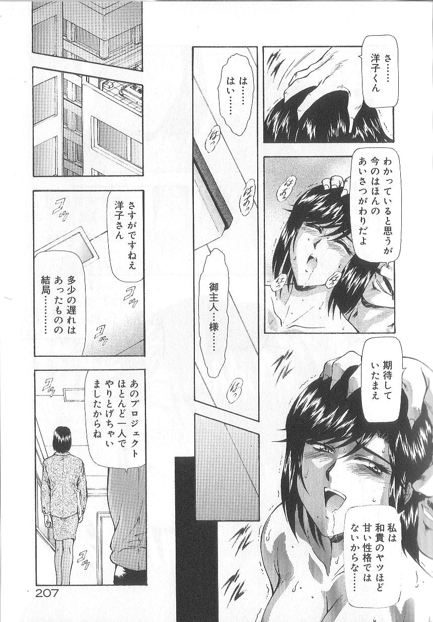 [向正義] 真実の補完