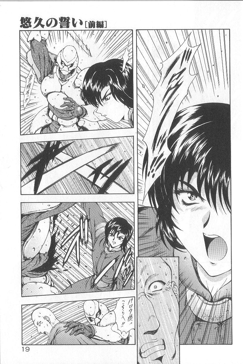 [向正義] 真実の補完
