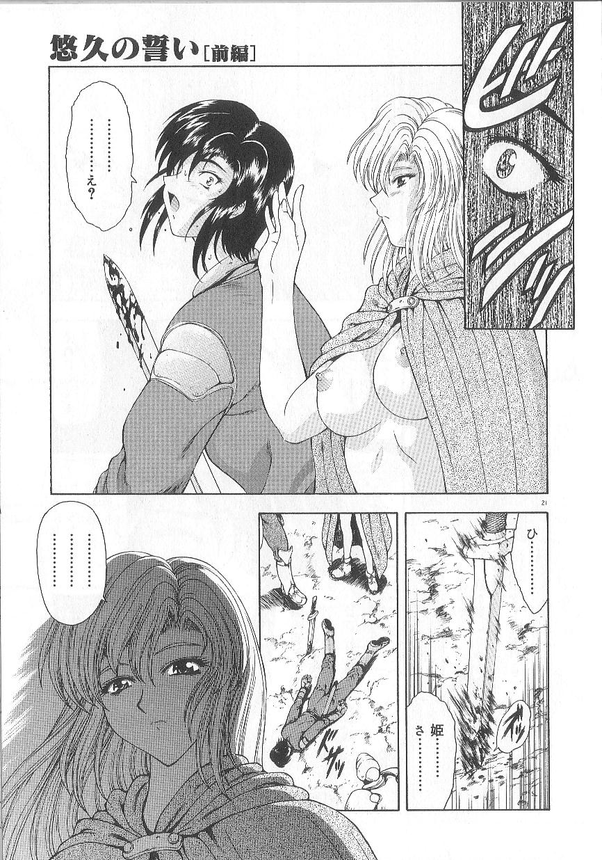 [向正義] 真実の補完