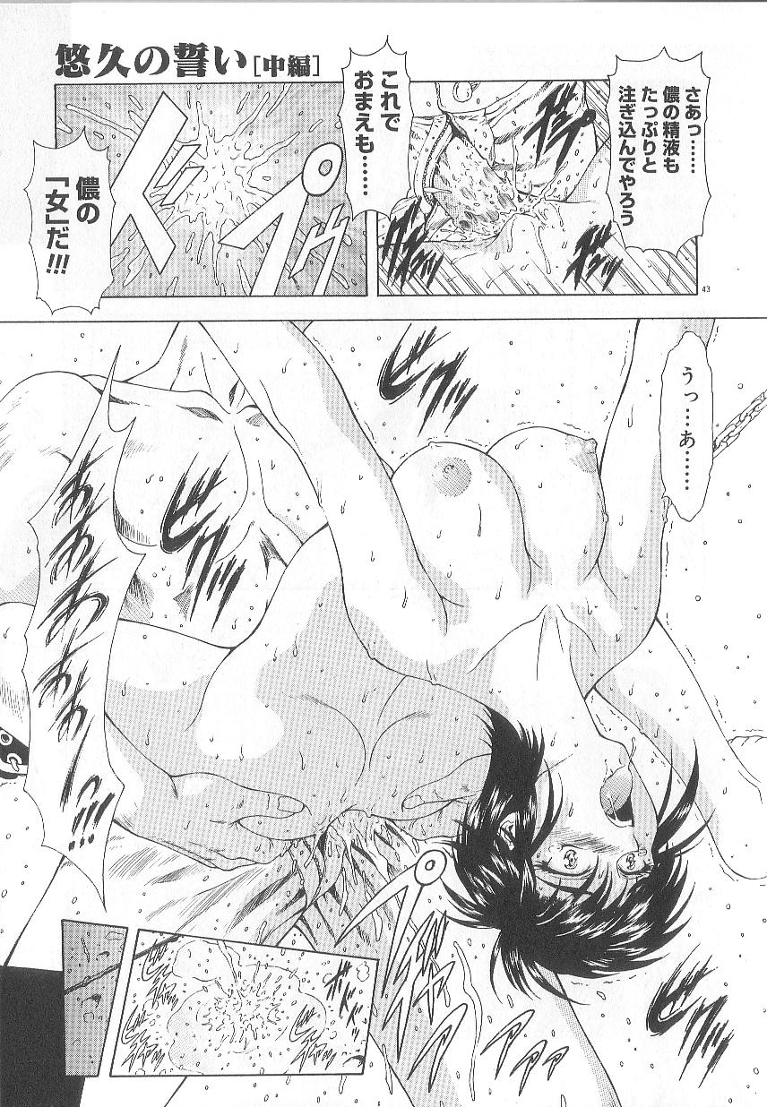 [向正義] 真実の補完