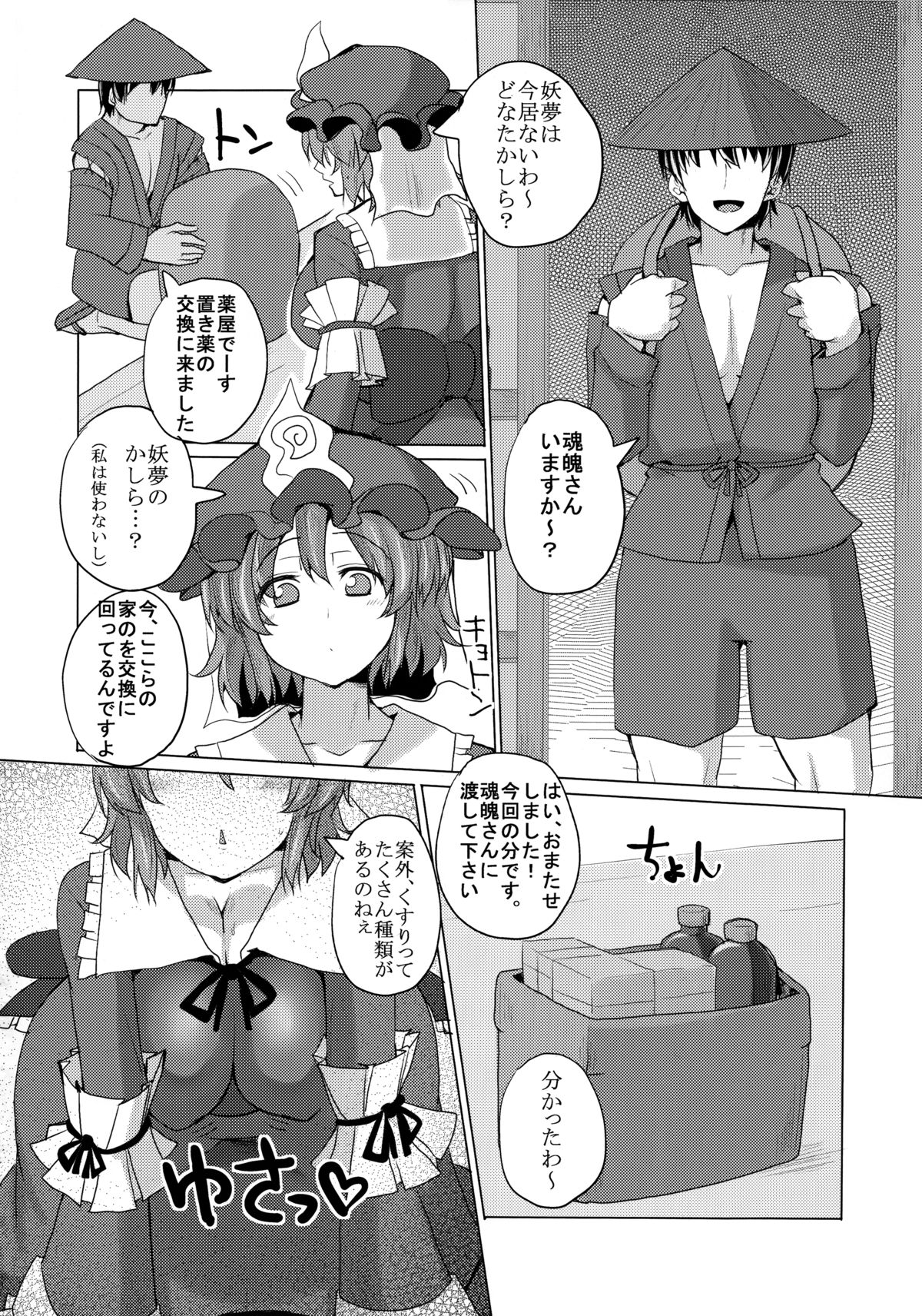 (C88) [ちんちん亭 (chin)] ヤク漬け長竿中毒亡霊 (東方Project)