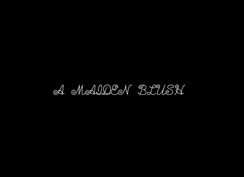 [華懐楼] A MAIDEN BLUSH (ガンダムSEED DESTINY) [DL版]