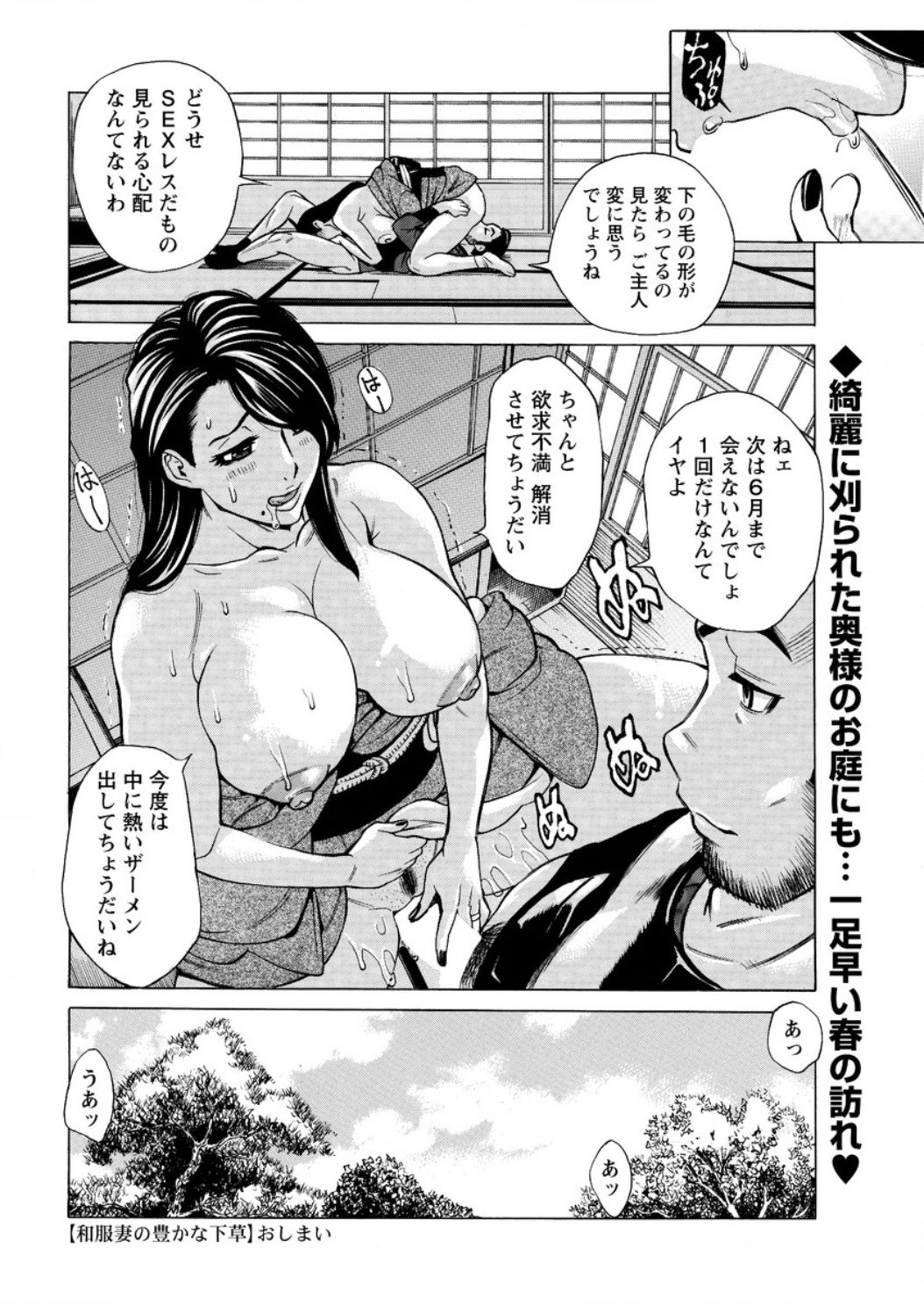 アクションピザッツ DX 2017年2月号 [DL版]