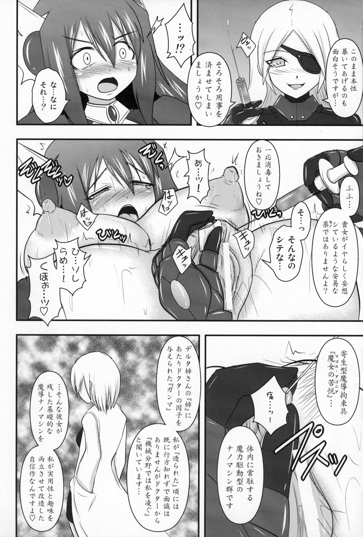(C80) [FONETRASON (竜湯)] 煌盾装騎エルセインVol.10 MALICIOUS SISTERS