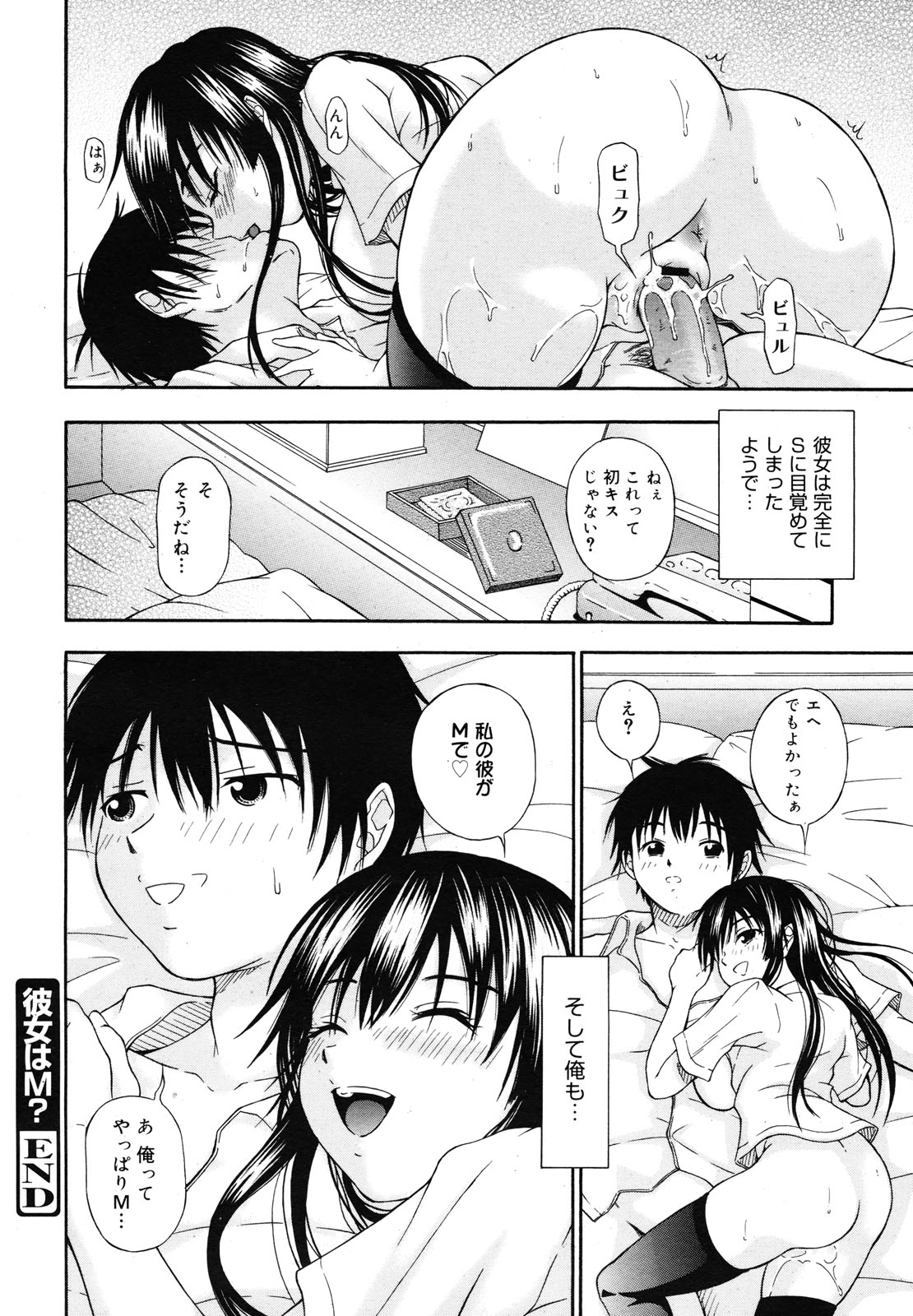 コミックメガミルク 2012年12月号 Vol.06