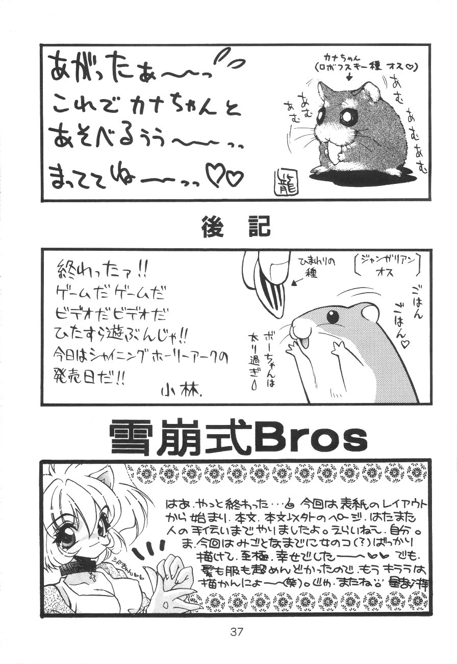 [隠し砦の参ハムスター] 雪崩式Bros (サクラ大戦, ストリートファイター)