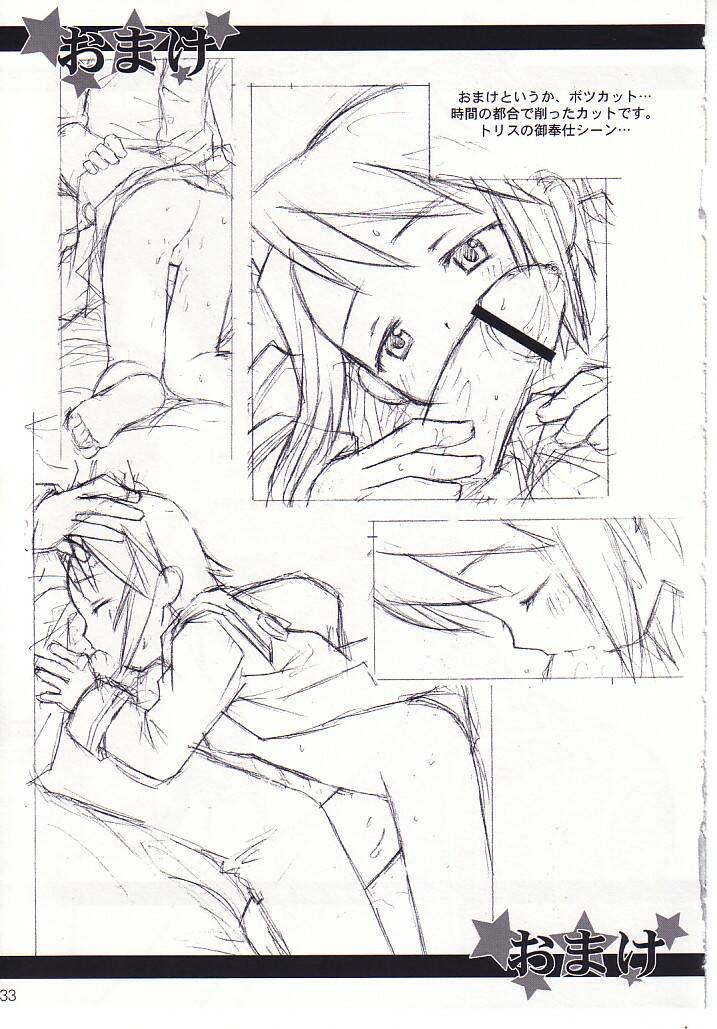 (C62) [ばくはつBRS. (B.たろう)] 末裔達の宴 (サモンナイト2)