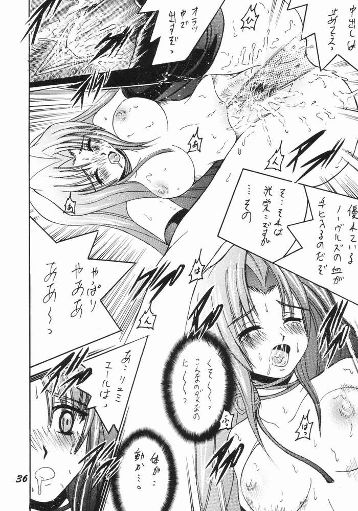 (Cレヴォ33) [塩屋 (塩屋舞子)] SHIO! Vol.17 (キディグレイド)
