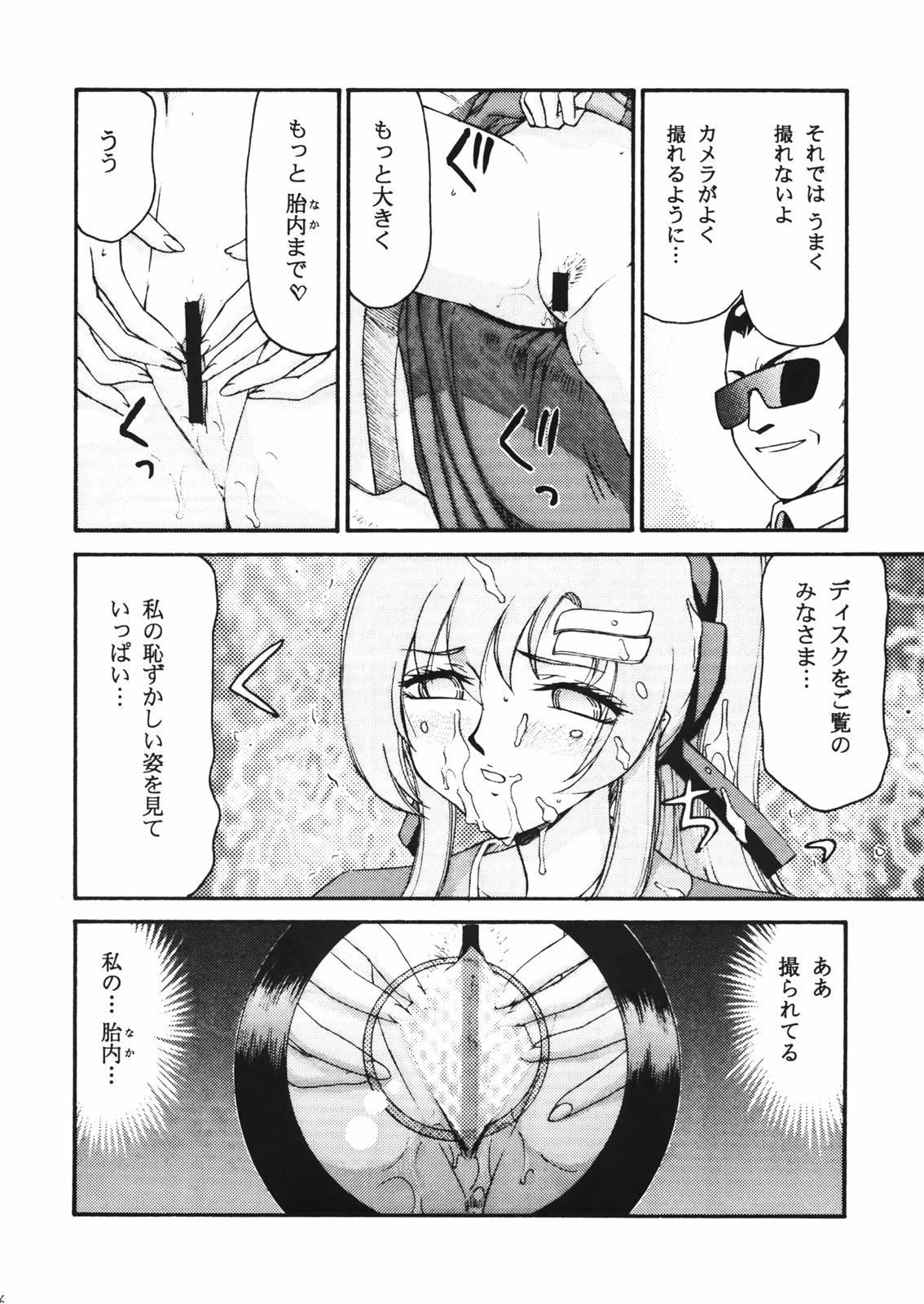 (C72) [LTM (たいらはじめ)] 種です・了(機動戦士ガンダムSEED DESTINY)
