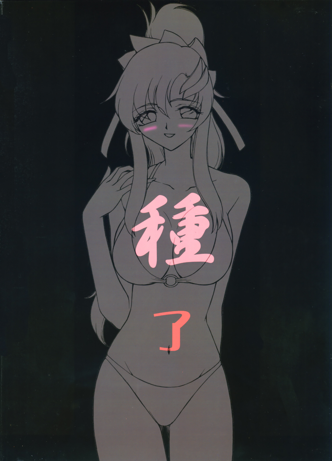 (C72) [LTM (たいらはじめ)] 種です・了(機動戦士ガンダムSEED DESTINY)
