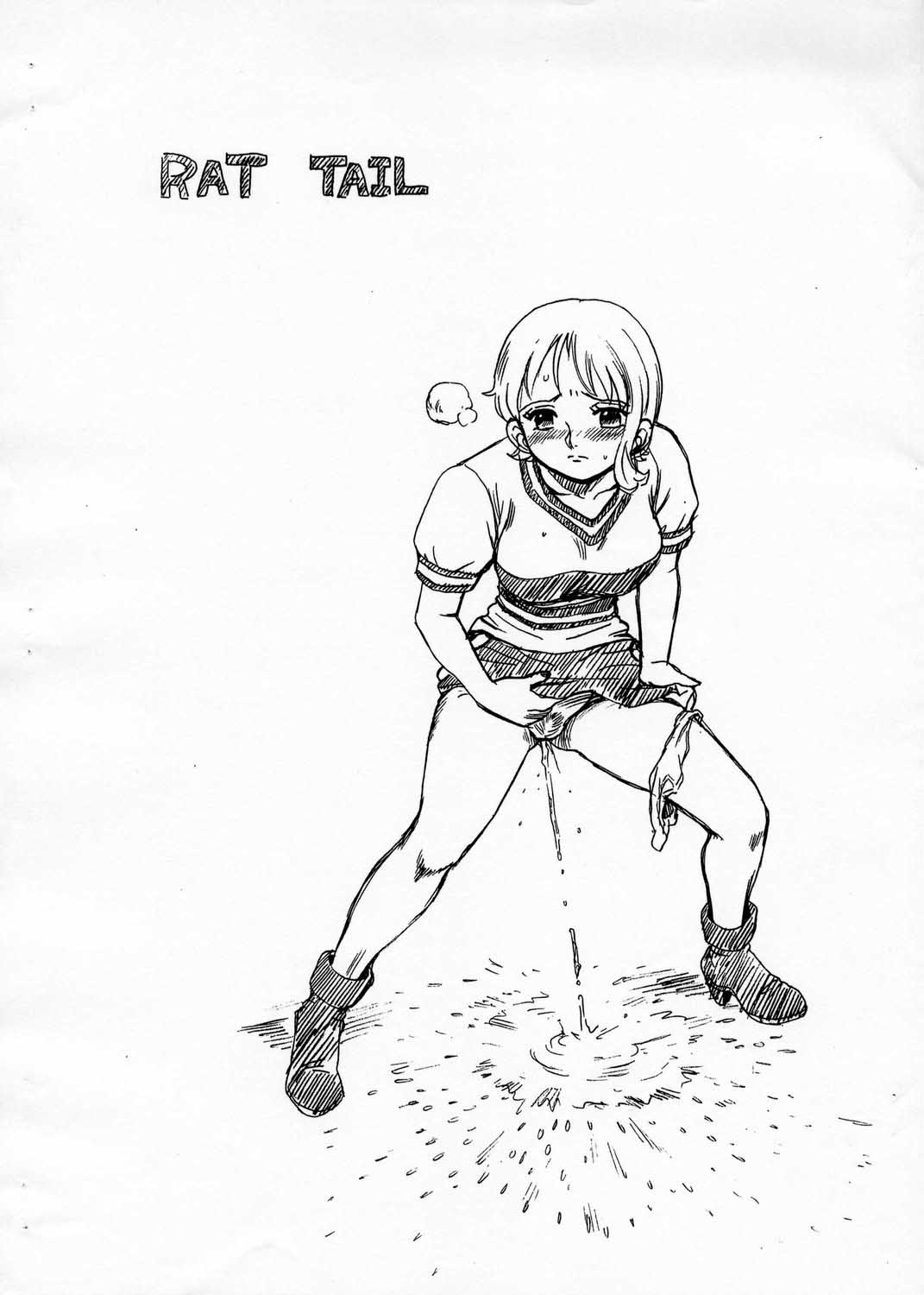 (Cレヴォ34) [RAT TAIL (IRIE YAMAZAKI)] ONEPIECE FILE (ワンピース)
