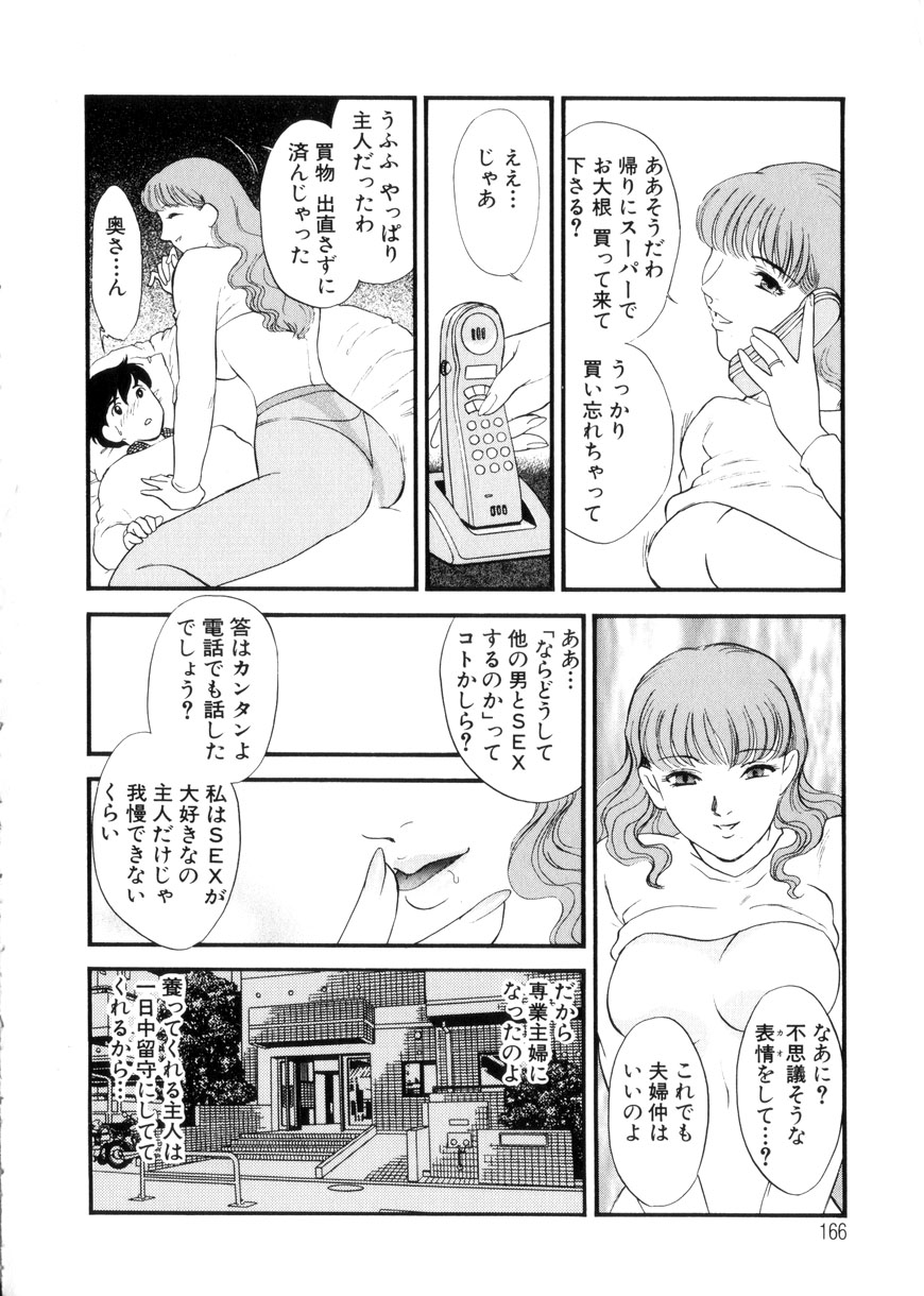 [ふじいあきこ、秋山道夫] 人妻模様3 乱れ妻