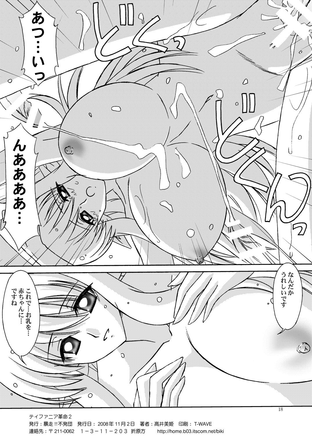 [暴走！！不発団 (高井美姫)] ティファニア革命 2 (ゼロの使い魔)
