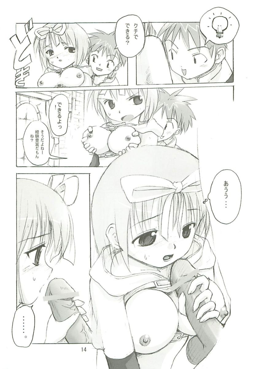(サンクリ23) [PARANOIA CAT (藤原俊一)] 秘密のギルドにご用心 1+2+α (ラグナロクオンライン)