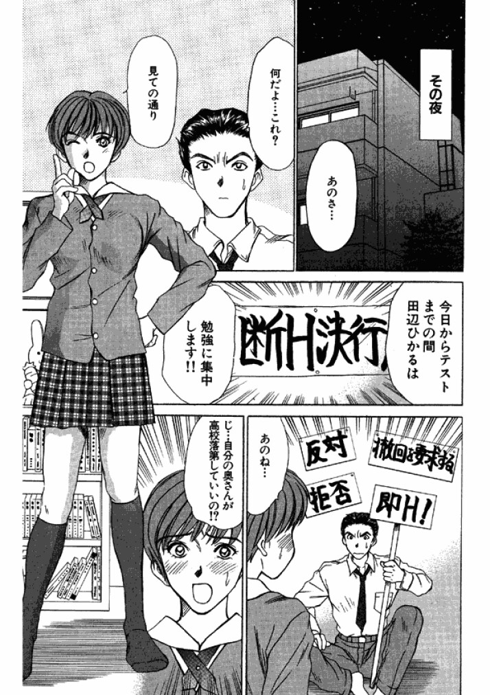 【佐野高吉】新妻高校