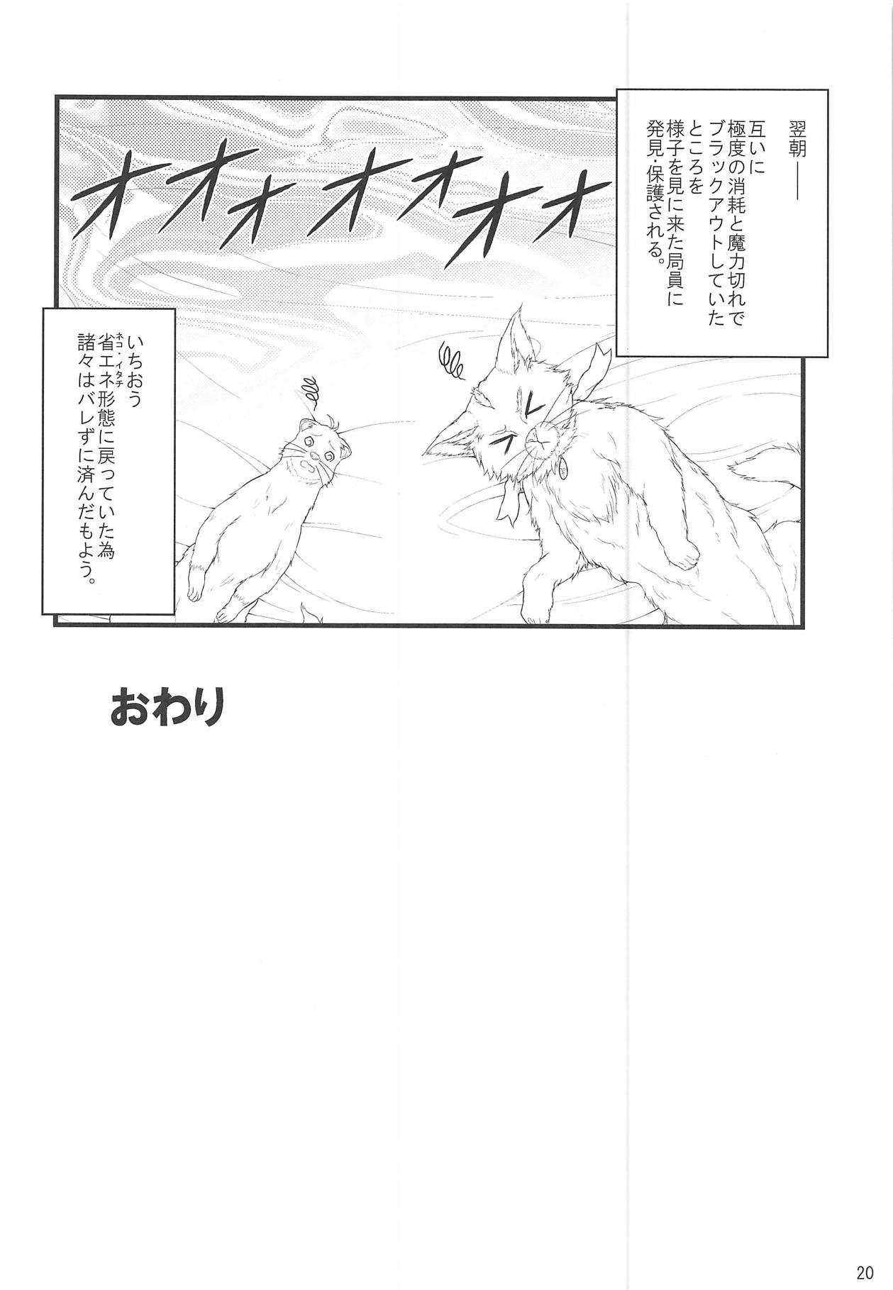 (C95) [朽木ノ洞 (エンマコオロギ)] 性交ノ殲滅者 (魔法少女リリカルなのはDetonation)