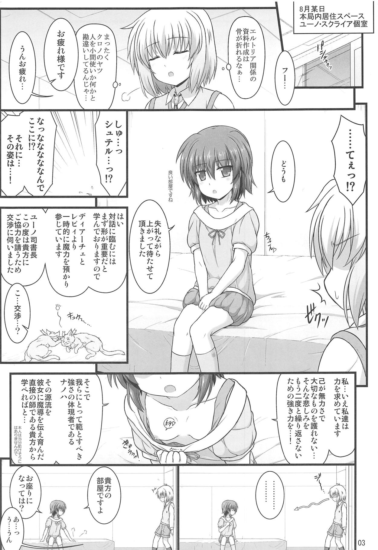 (C95) [朽木ノ洞 (エンマコオロギ)] 性交ノ殲滅者 (魔法少女リリカルなのはDetonation)