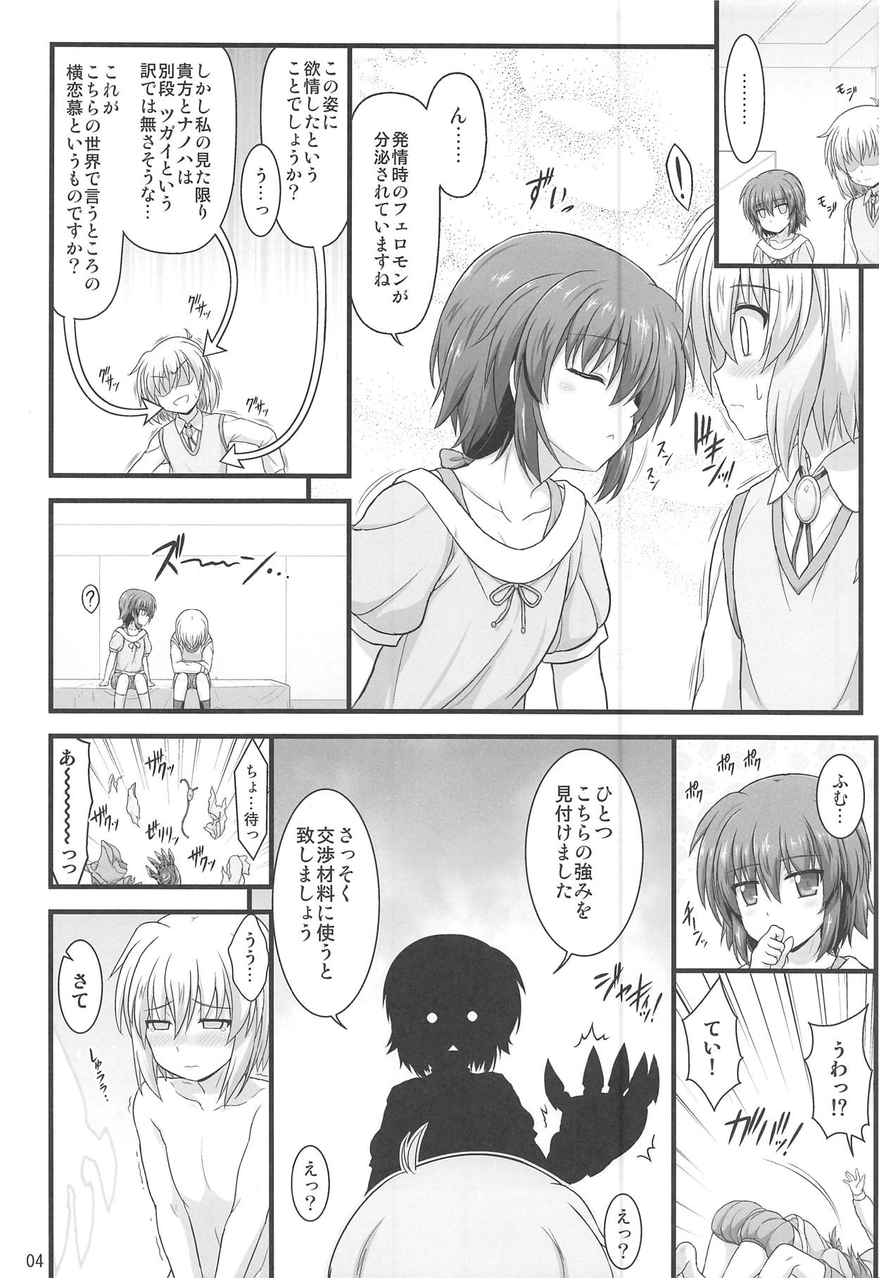 (C95) [朽木ノ洞 (エンマコオロギ)] 性交ノ殲滅者 (魔法少女リリカルなのはDetonation)