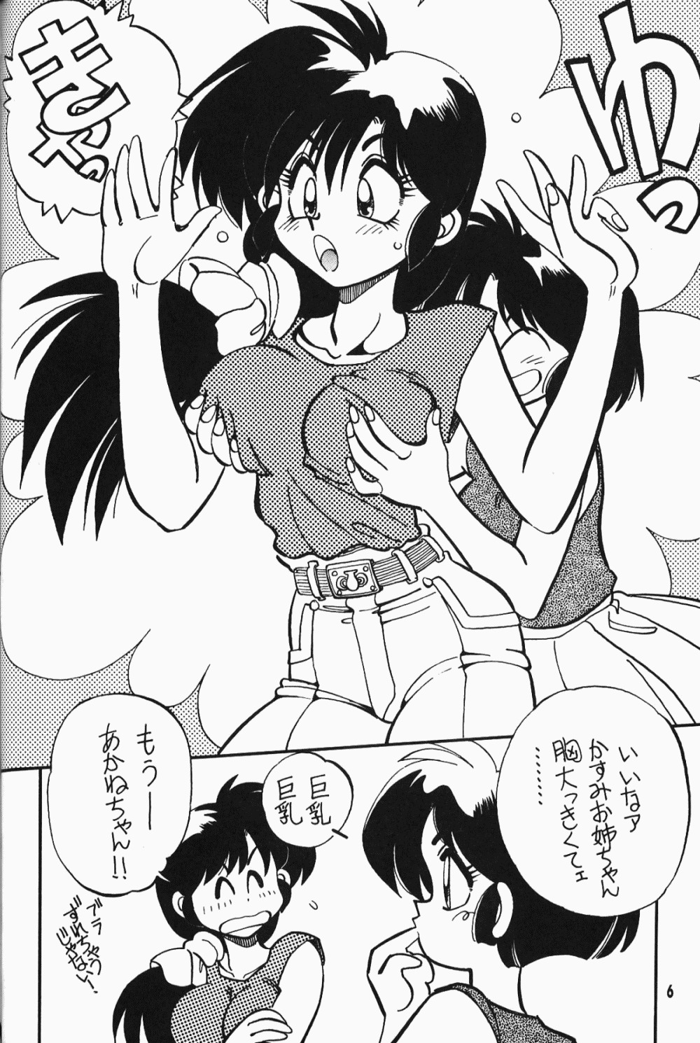 【ダークゾーン】アニマリターンズ（らんま1/2）