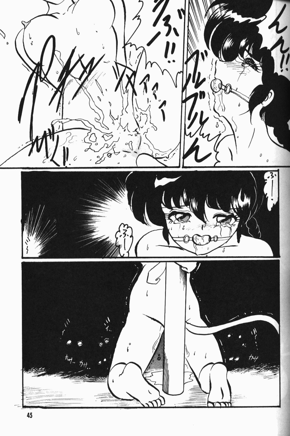 【ダークゾーン】アニマリターンズ（らんま1/2）