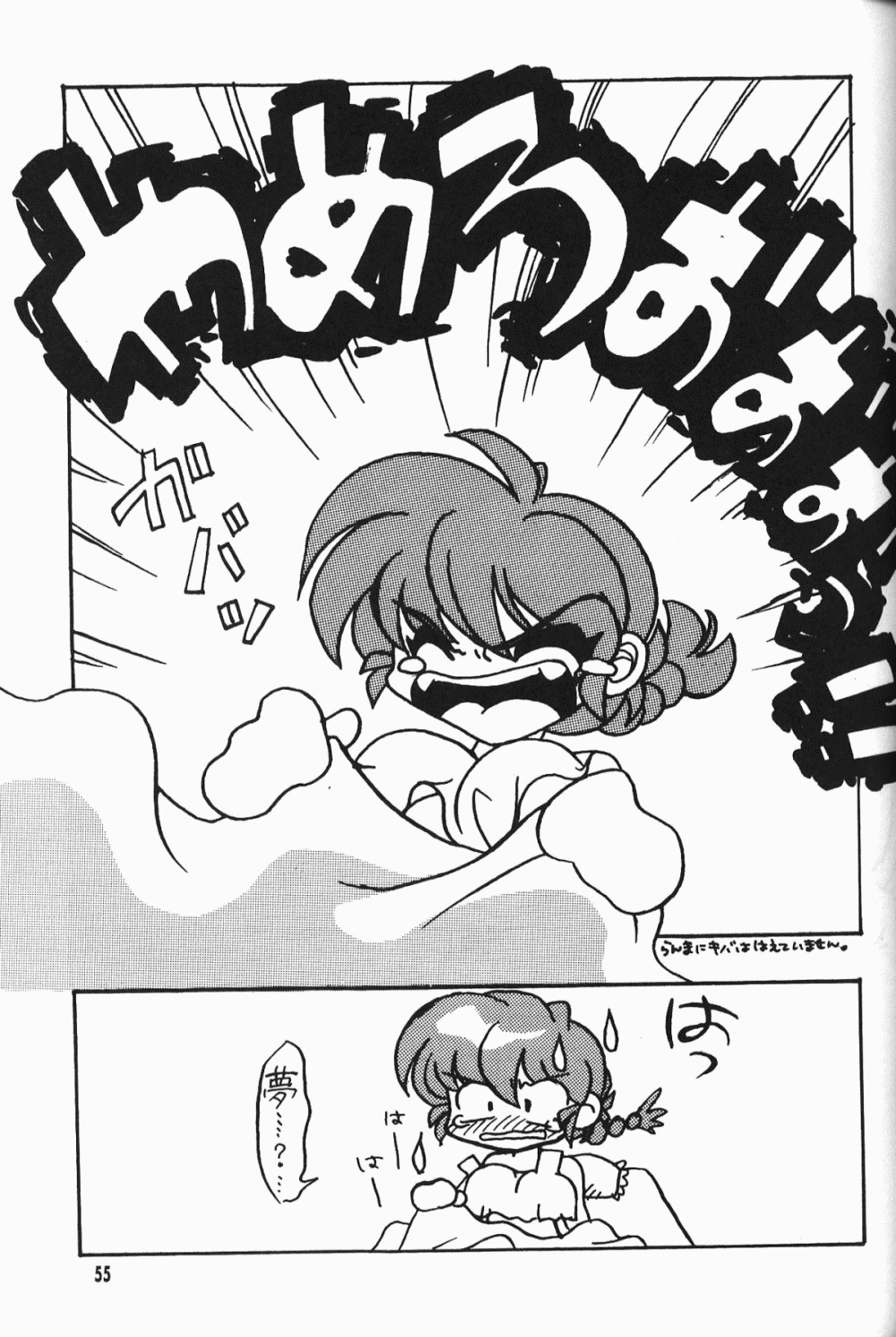 【ダークゾーン】アニマリターンズ（らんま1/2）