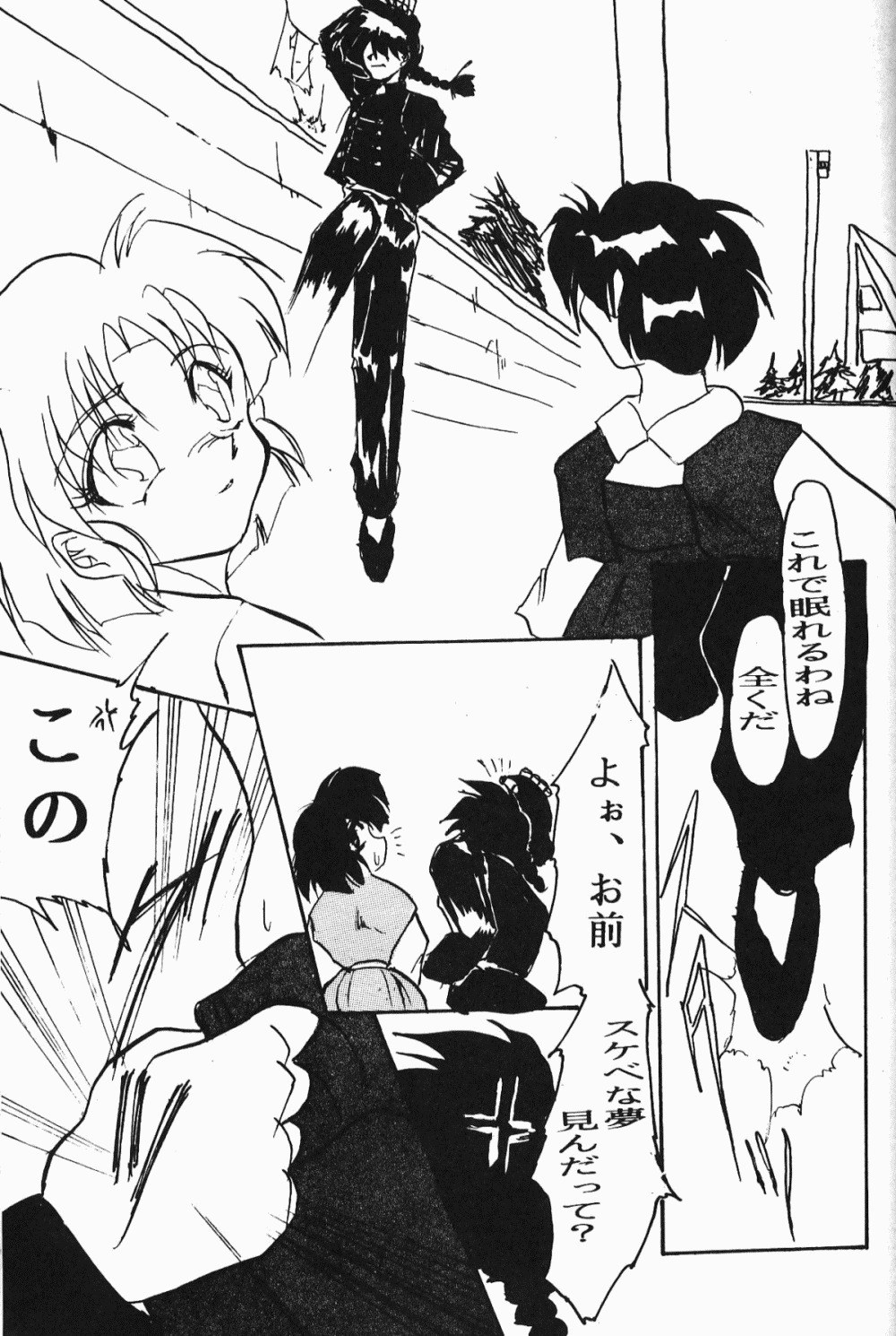 【ダークゾーン】アニマリターンズ（らんま1/2）