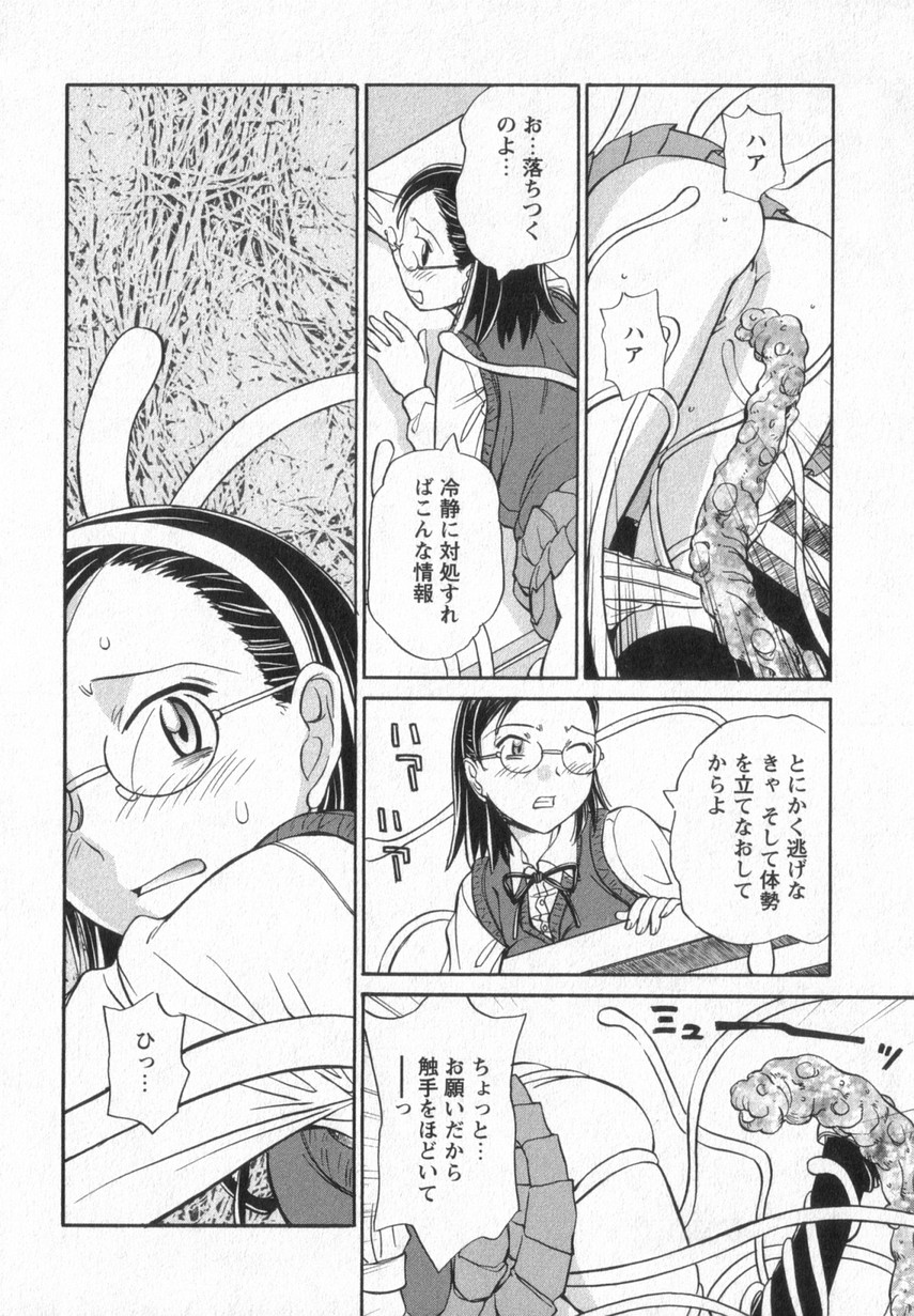 [あんみつ草] HAPPY VALLEY